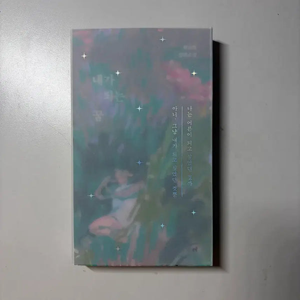 [BUNJANG] Choi Jin-young The Dream I Became Recovery Edition Novel / 내가 되는 꿈 리커버 최진영 소설책