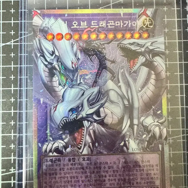 [BUNJANG] Master of Dragon Magia / 마스터 오브 드래곤마기아
