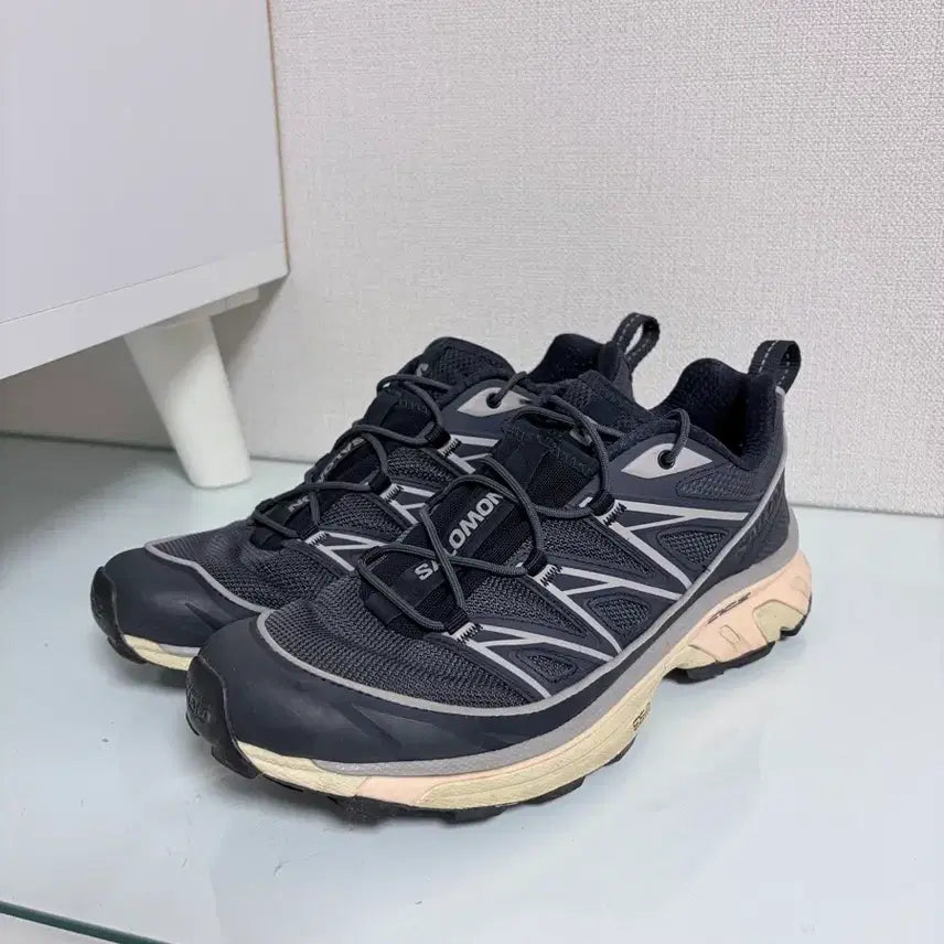 [BUNJANG] Salomon XT-6 Expanse Navy India Pink / 살로몬 XT-6 익스펜스 네이비 인디아 핑크 260 판매