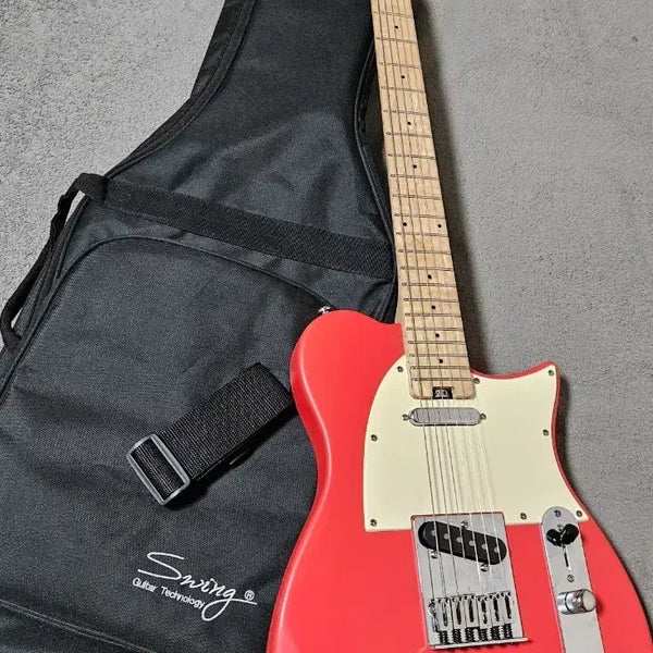 [BUNJANG] HEX T100 Electric Guitar / 실물 색깔 찐, 헥스 T100 일렉기타