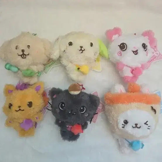 [BUNJANG] NCT WISH Sicheng Crowny Bear Cury Bubble Cat Dengtreeber Ryoryong Pangi Bundle Set / 가격인하))엔시티위시 위시돌 시오닝 쿠리 버블냥 댕트리버 룐룐 팡이 일괄