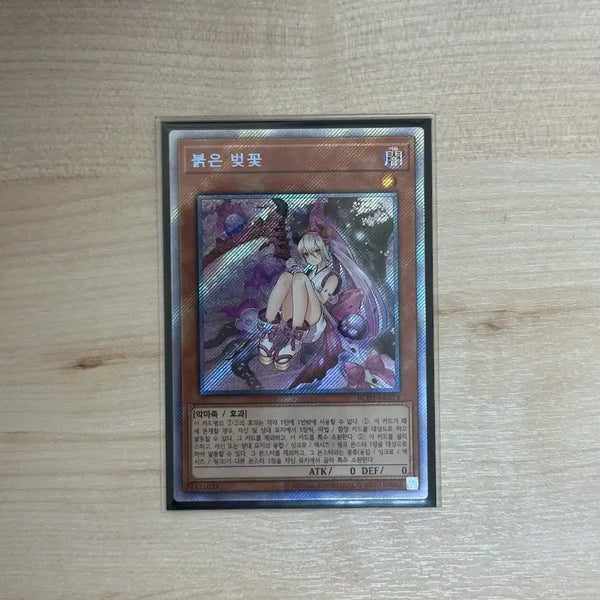[BUNJANG] Yu-Gi-Oh! Red Rose Dragon Extra Secret Rare (9th Edition) / 유희왕 붉은 벚꽃 구공정 엑스트라 시크릿 레어