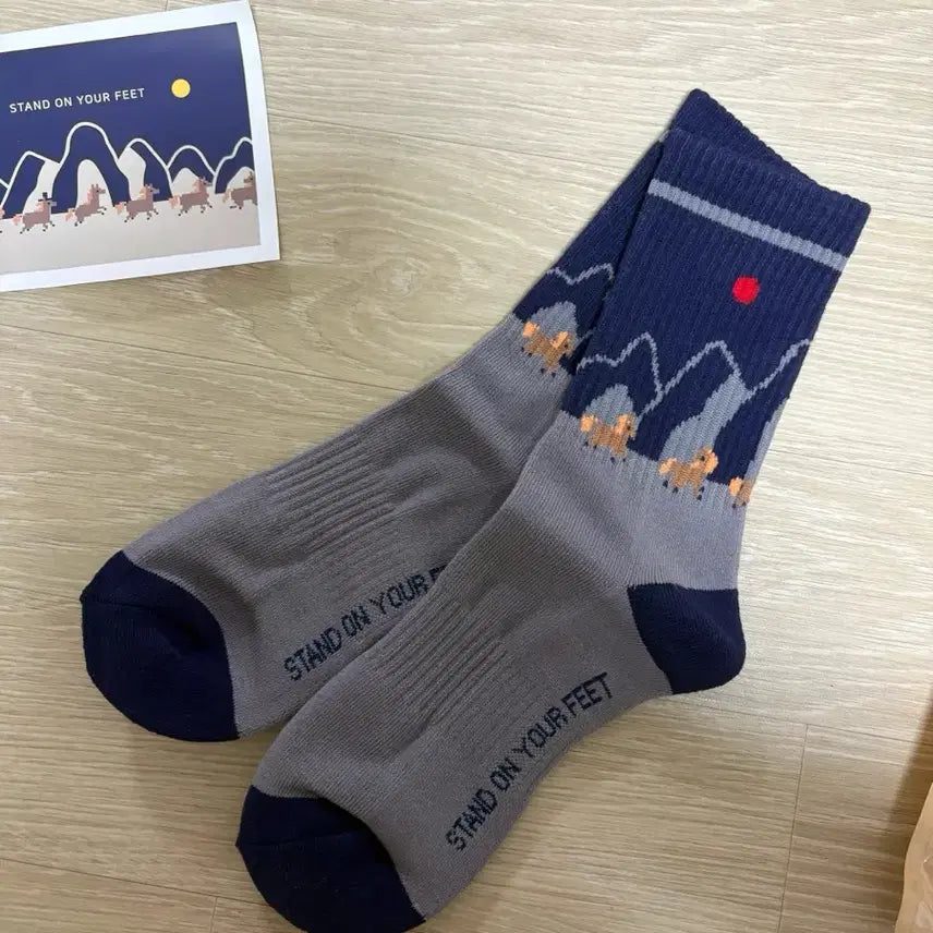 [BUNJANG] Folk Painting Design Crew Socks Unisex / 새제품) 민화 크루삭스 남여공용 양말