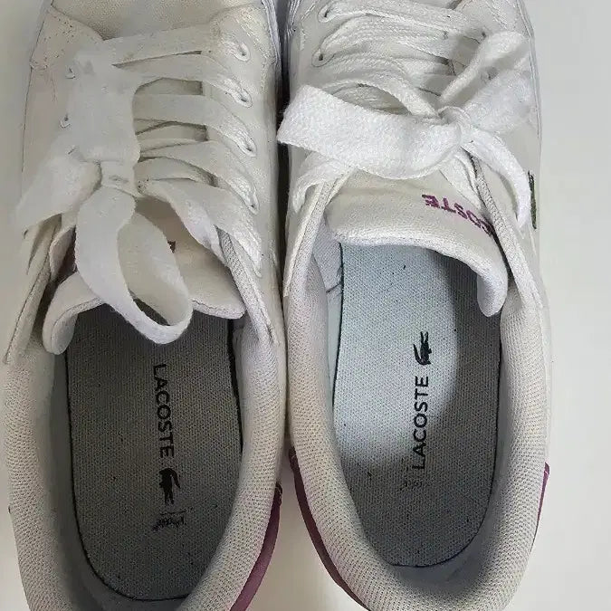 [BUNJANG] Lacoste Sneakers White Unisex Size 250 / 라코스테 스니커즈 화이트 250 공용