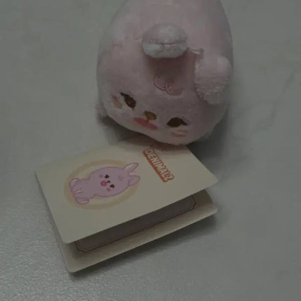 [BUNJANG] Day6 Denny's Petitmals Doll Phil Version / 데이식스 데니멀즈 쁘띠멀즈 인형 필 버전
