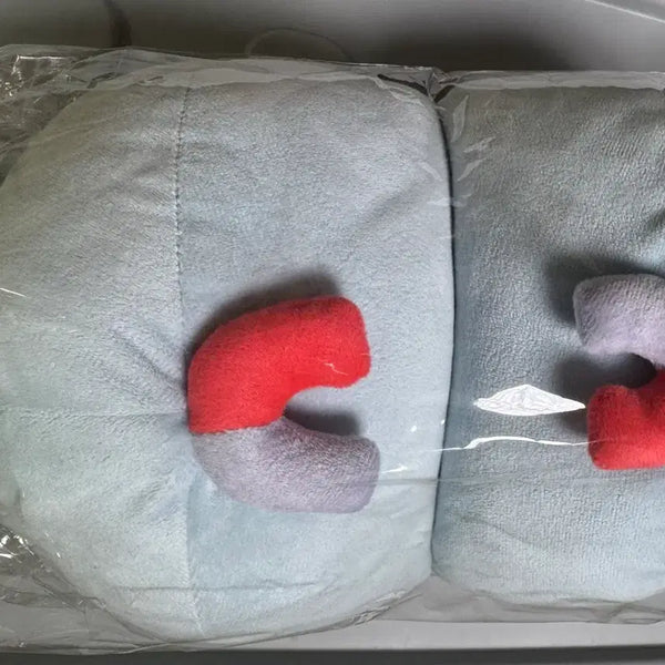 [BUNJANG] StellaLive Arashi Tabi 2024 Birthday 'Bungdengi' Home Slippers / 스텔라이브 아라하시 타비 2024생일 뿡댕이 홈 슬리퍼 뿡리퍼