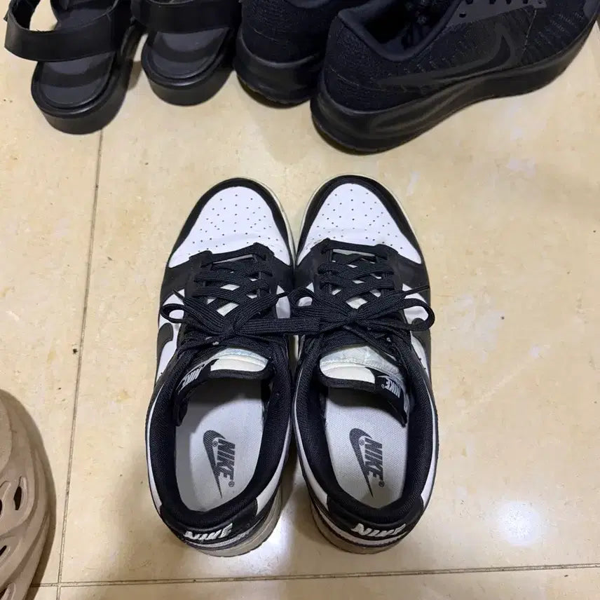 [BUNJANG] Nike Dunk Low 'Orca' / 나이키 덩크 로우 범고래
