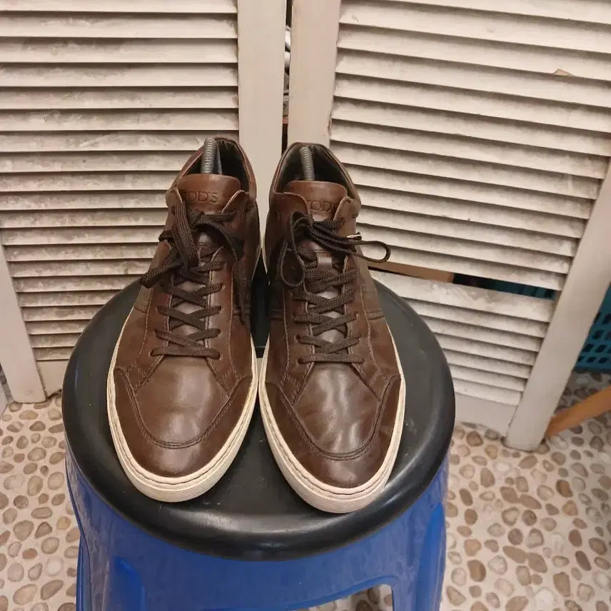 [BUNJANG] TOD'S Leather Sneakers / 토즈(TODS)가죽 스니커즈