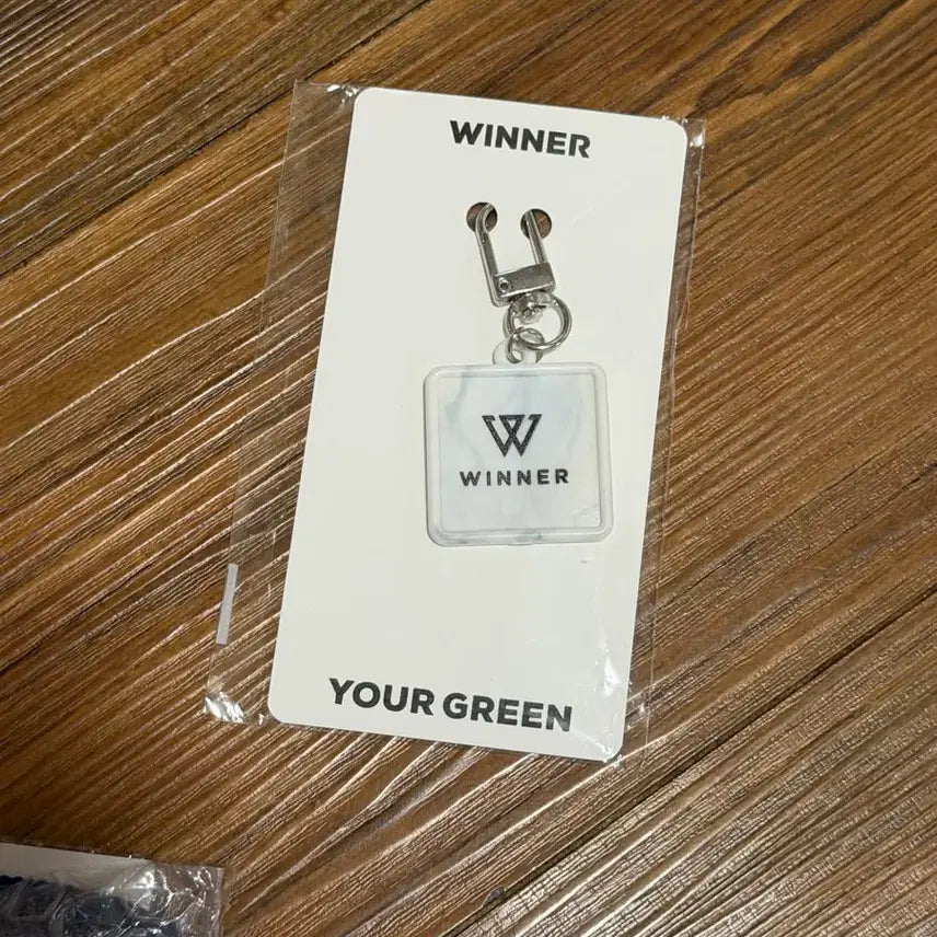 [BUNJANG] Winner The Same Recycle Keyring / 위너 더세임 리사이클 키링