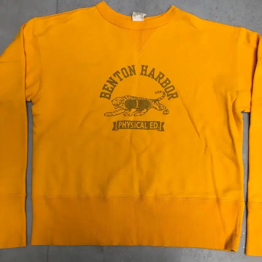 [BUNJANG] Champion Rochester Line Sweatshirt / 챔피온 로체스터라인 스웻셔츠