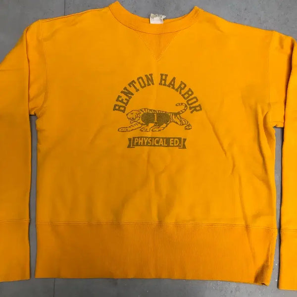 [BUNJANG] Champion Rochester Line Sweatshirt / 챔피온 로체스터라인 스웻셔츠