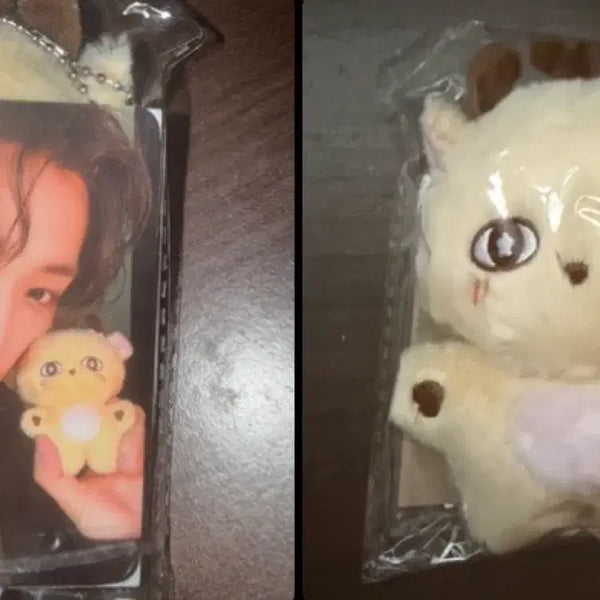 [BUNJANG] Park Ji Hoon 'Sosimi' Doll Photocard Set / 박지훈 인형 소심이 판매 양도 합니다