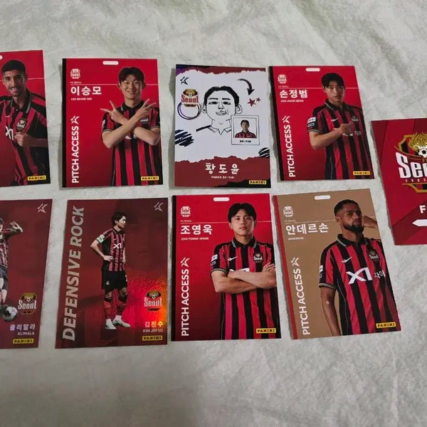 [BUNJANG] FC Seoul Soccer Player Panini Cards Bundle Set / FC서울 선수 파니니 카드 일괄