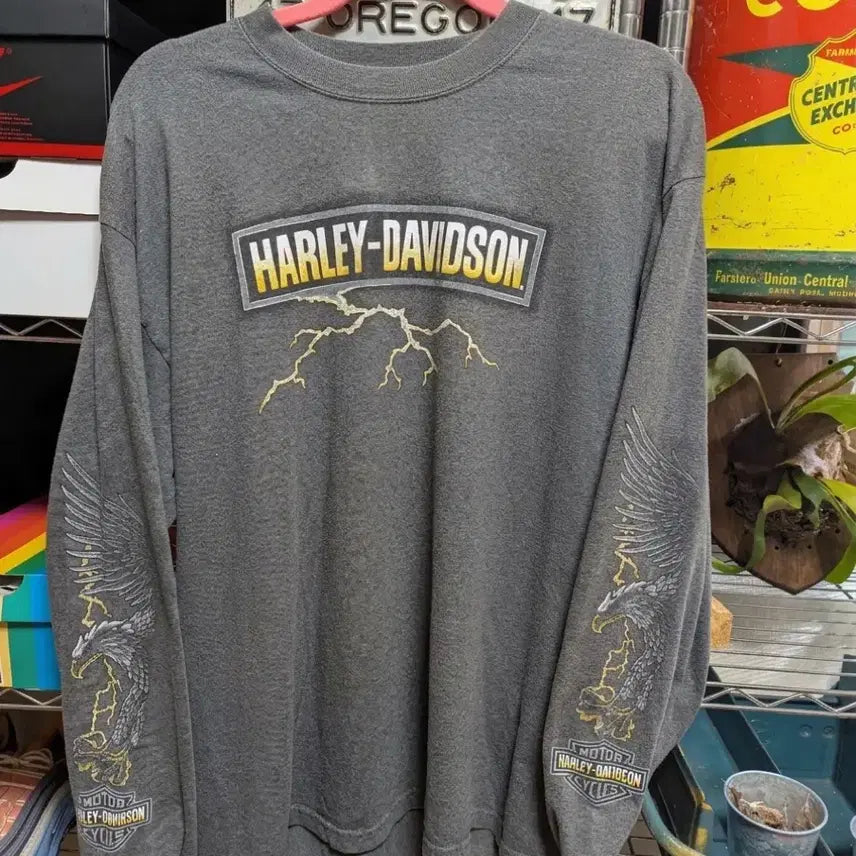 [BUNJANG] Harley-Davidson Lightning Haines 90s Long Sleeve T-Shirt XL / 90s USA 할리데이비슨 라이트닝 헤인즈 롱슬리브 XL