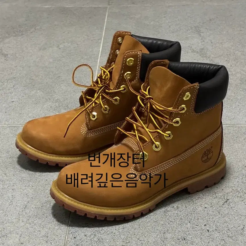 [BUNJANG] Timberland Women's 6-Inch Premium Waterproof Boots / 팀버랜드 여성 6인치 프리미엄 워터프루프 부츠 250