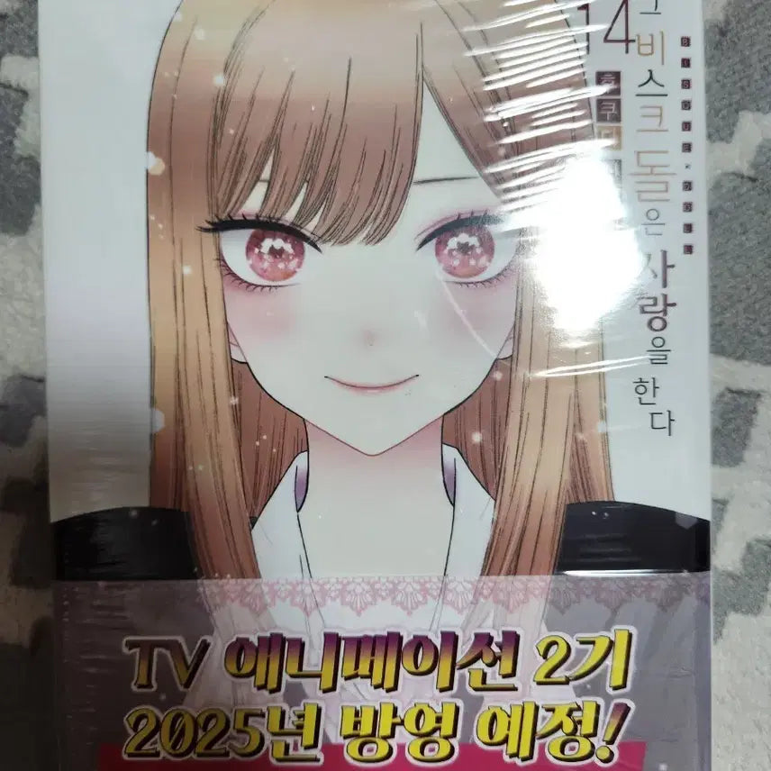 [BUNJANG] Grevice Doll 14 Limited Edition Unsealed / 그비스크돌 14 초판미개봉