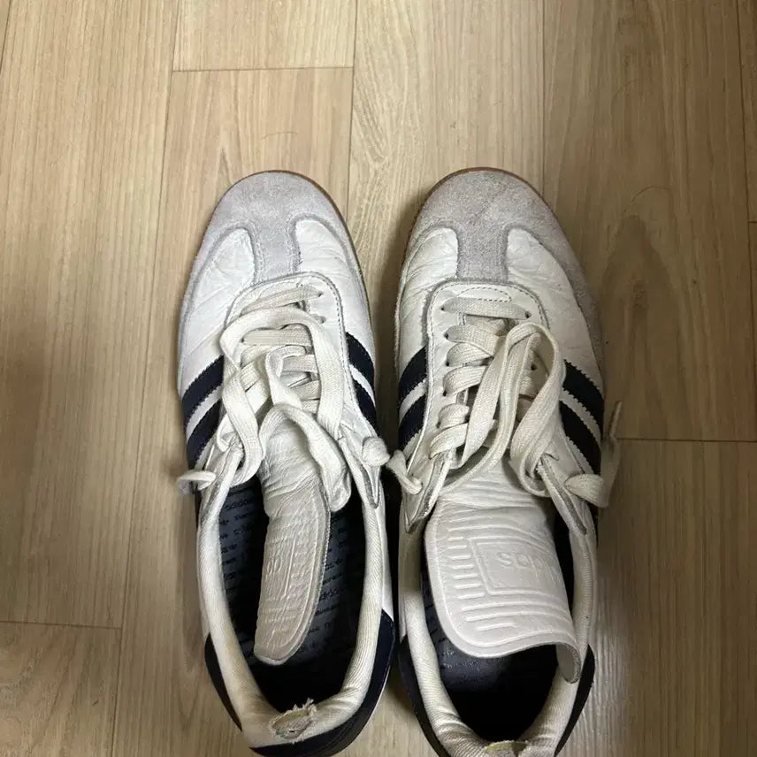 [BUNJANG] Adidas Humanrace Samba / 아디다스 휴먼레이스 삼바 280