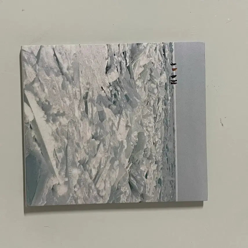 [BUNJANG] Kang Asol LP/CD Bundle Set / 강아솔 LP/CD