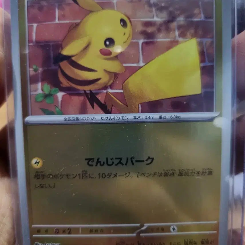 [BUNJANG] Pikachu Promo 216/SV-P Card / 피카츄 프로모 216/SV-P