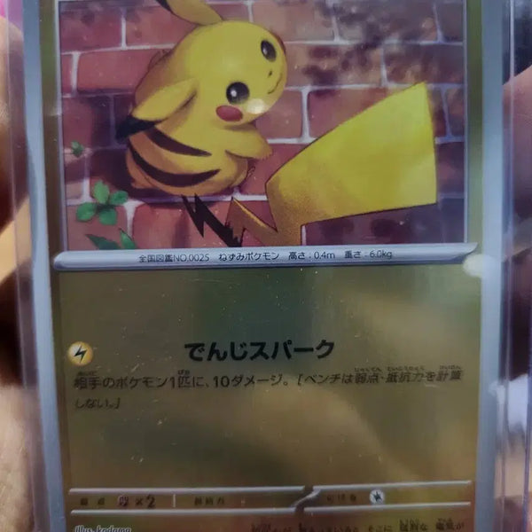 [BUNJANG] Pikachu Promo 216/SV-P Card / 피카츄 프로모 216/SV-P