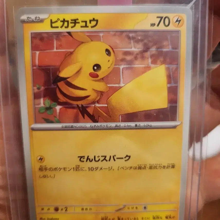 [BUNJANG] Pokemon Pikachu 023/071 Trading Card / 포켓몬카드 피카츄 023/071