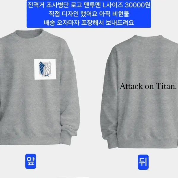 [BUNJANG] Attack on Titan Survey Corps Sweatshirt L / 진격의 거인 진격거 조사병단 맨투맨 L