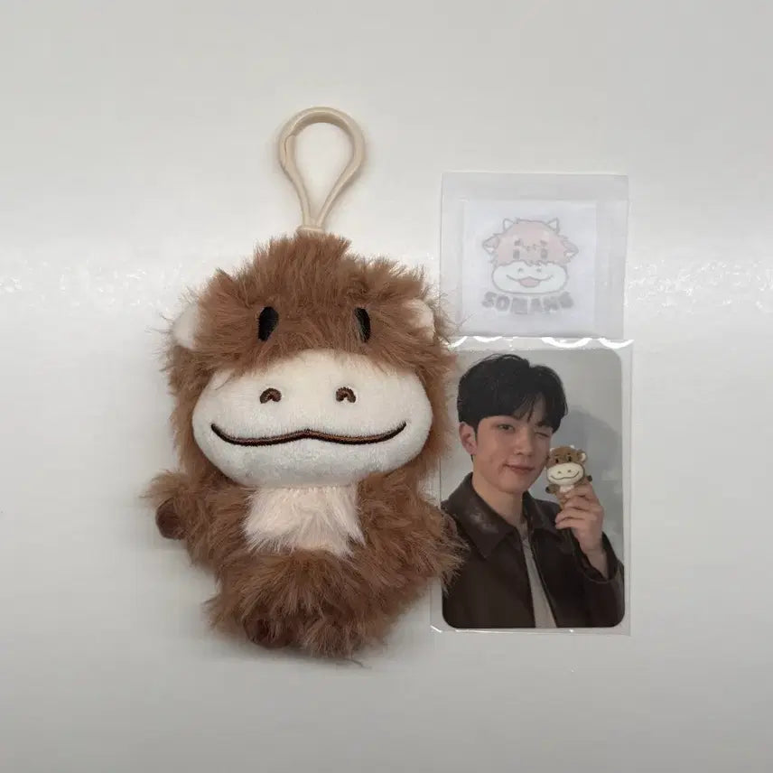 [BUNJANG] N.Flying Yoo Hwe Seung 'Somin' Photocard / 엔플라잉 유회승 소망이 포카