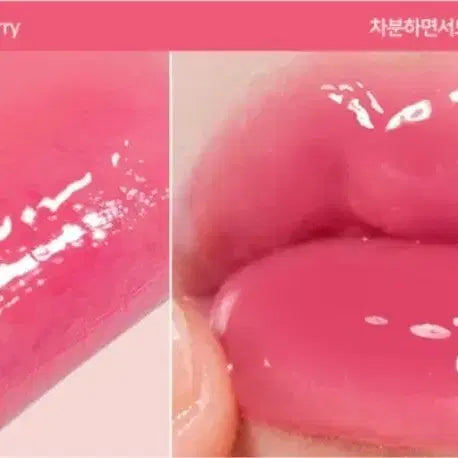 [BUNJANG] FashionCat Glow Tint 04 Grape Berry / 새상품 패션캣 글로우틴트 04그레이프베리