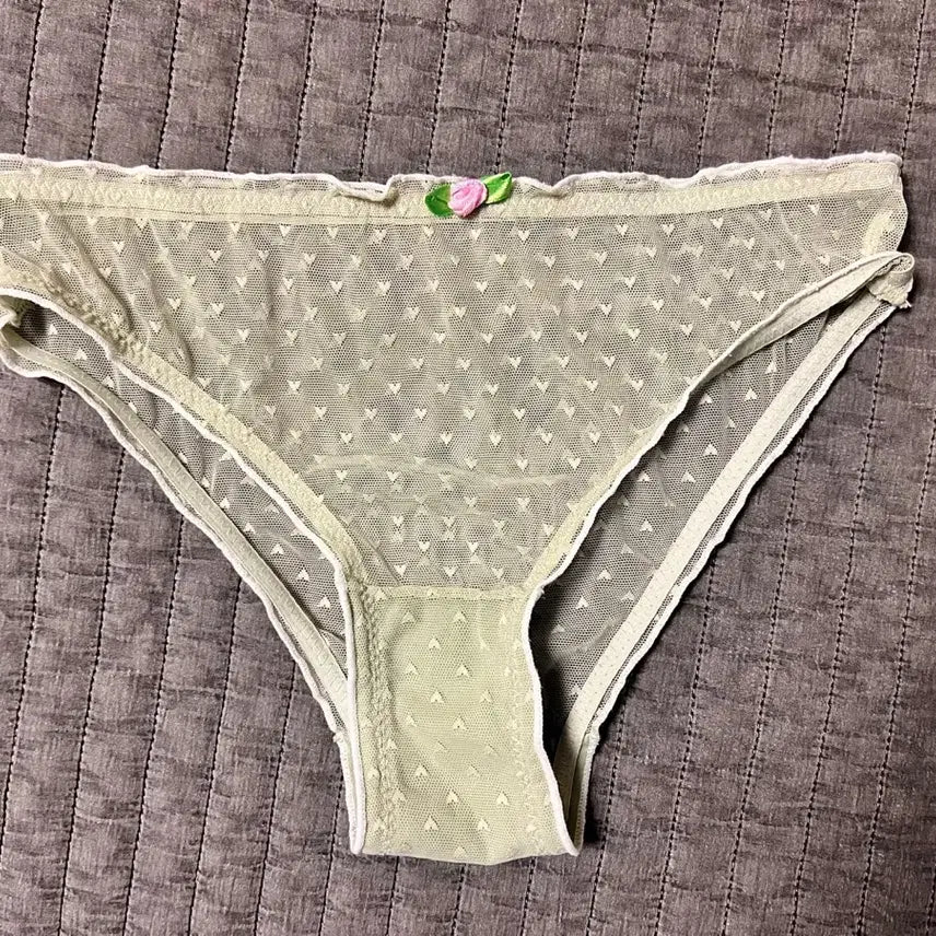 [BUNJANG] Used Mint Green See-Through Heart Panty / (중고) 연두 시스루 하트 팬티