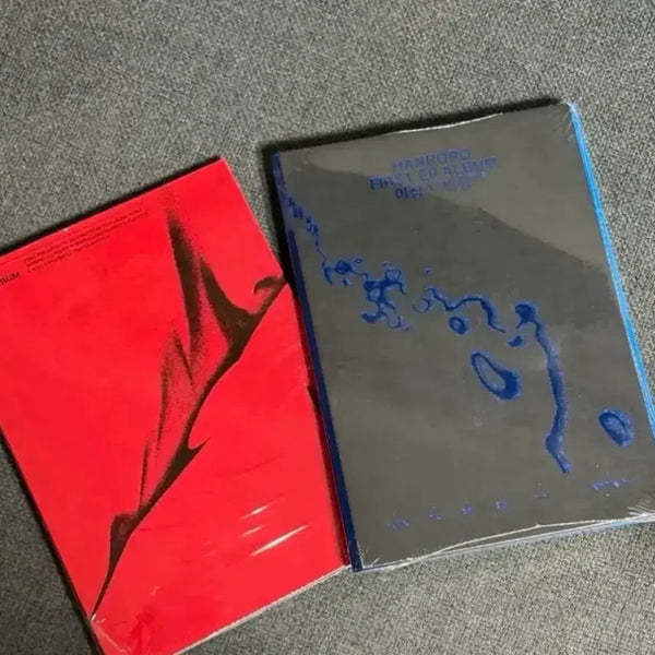 [BUNJANG] Hanroro & Lee Sang-haeng 'Flight' CD Bundle Set (Sealed) / 한로로 이상비행 집 cd 미개봉 일괄팝니다