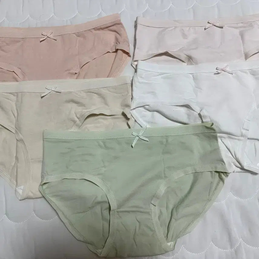 [BUNJANG] Cotton Briefs Set (5 Pieces) / (새제품) 면팬티 5종 세트