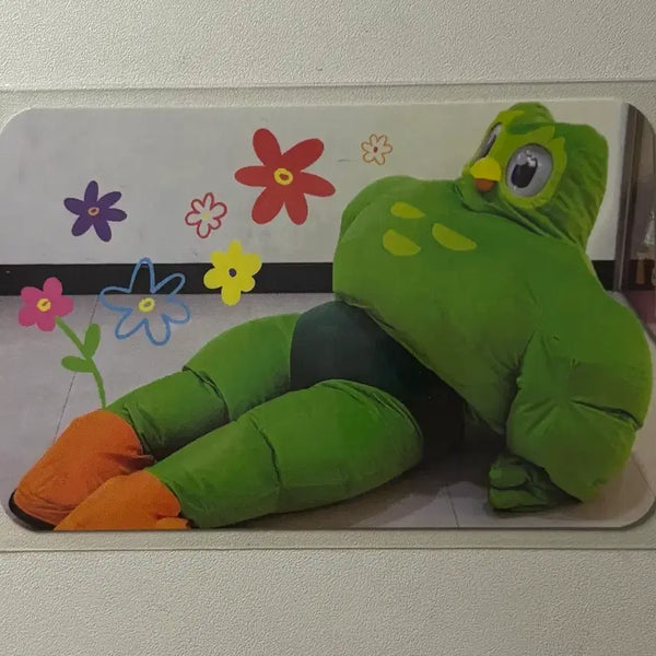 [BUNJANG] Duolingo Character Photocard / 듀오링고 캐릭터 포토카드