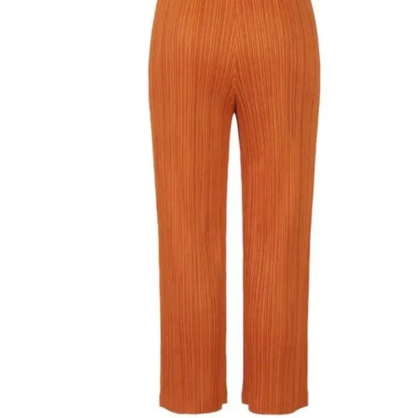 [BUNJANG] Pleats Please Seeker Pants Orange Brown / 플리츠플리즈 씨커팬츠 새상품