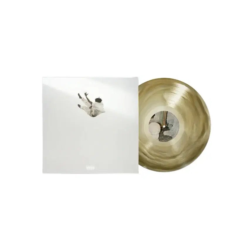 [BUNJANG] Daniel Caesar Pilgrim's Paradise LP (Mocha Swirl Vinyl, Sealed) / 다니엘 시저 Pilgrim's Paradise lp 미개봉