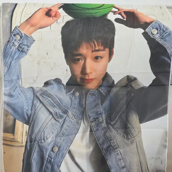 [BUNJANG] Kiyoungi Chicken Park Ji-hoon Fabric Poster / 기영이치킨 박지훈 페브릭포스터
