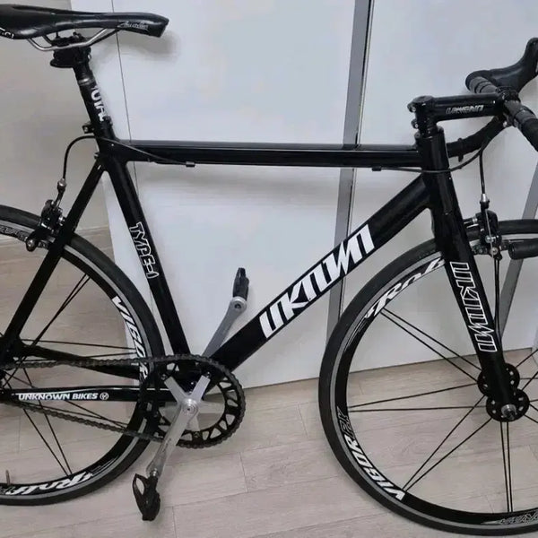 [BUNJANG] Unknown Type 1 Track Bike Frameset / 언노운 타입원 반차 픽시 반차 대차