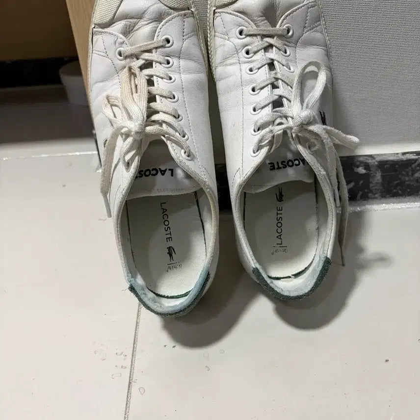 [BUNJANG] Lacoste Sneakers 265 / 라코스테 운동화 팔아요