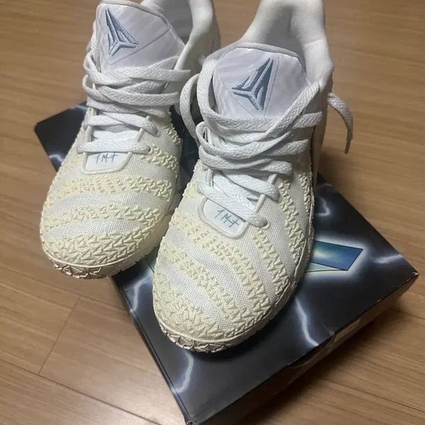 [BUNJANG] Basketball Shoes Size 275 / 자3 275
