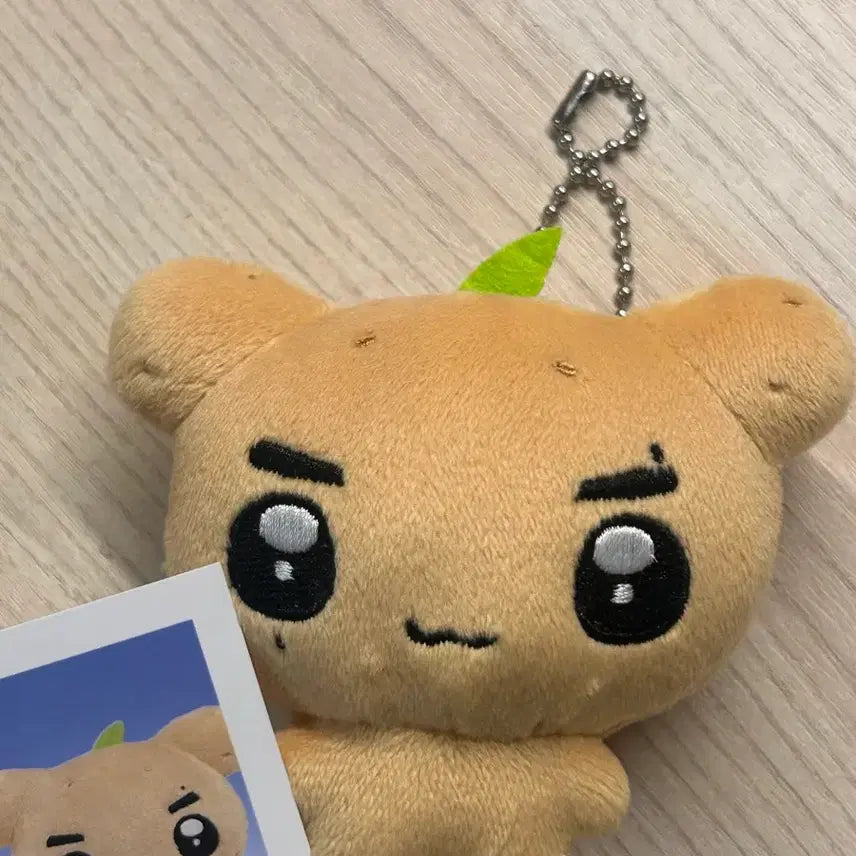 [BUNJANG] Gunnadi Doll + ID Photo Set / 건나디 양도해요