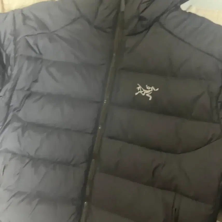 [BUNJANG] Arc'teryx Thorium Hoody / 아크테릭스 토륨 후디((급처))