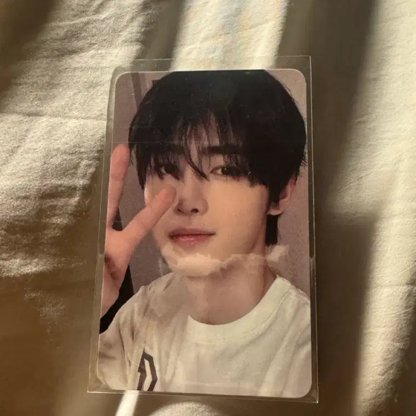 [BUNJANG] ENHYPEN Sunghoon Park Sunghoon Walk The Line Cat Photocard / 엔하이픈 성훈 박성훈 웤더라인 고양 포카