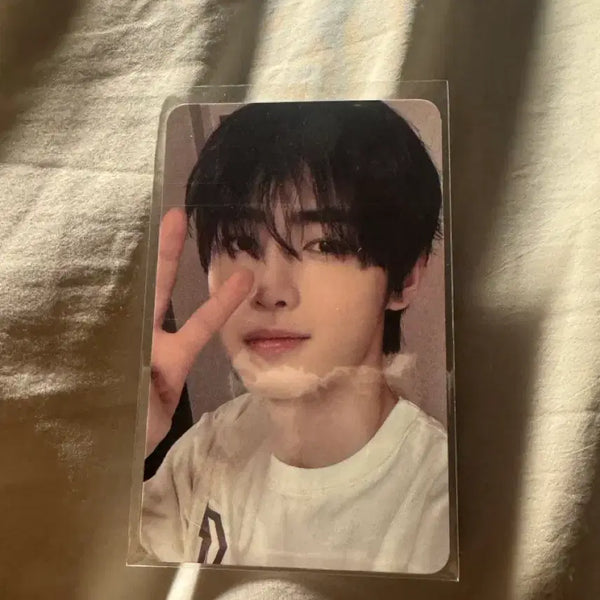 [BUNJANG] ENHYPEN Sunghoon Park Sunghoon Walk The Line Cat Photocard / 엔하이픈 성훈 박성훈 웤더라인 고양 포카