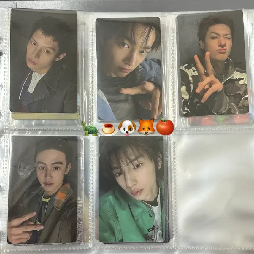 [BUNJANG] Kurtis Photocard Set / 코르티스 포카 세트 pre