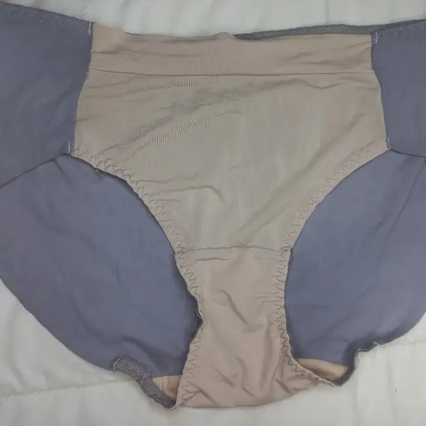 [BUNJANG] Women's Shapewear Panties Beige/Lavender (Used) / 보정속옷 팬티 베이지/라벤더 중고