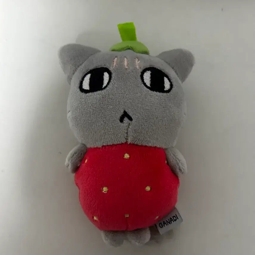[BUNJANG] Goniani Strawberry Keyring / 급처) 고냐니 딸기 키링