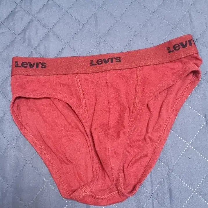 [BUNJANG] Men's Briefs Underwear / 중고)남자 삼각 팬티