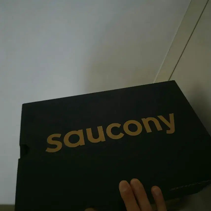 [BUNJANG] Saucony Men's Endorphin Pro 5 Running Shoes (Sealed) / 러닝호ㅓ 써코니 남성 엔돌핀 프로 5 미개봉 새상품 반값에 팔아요