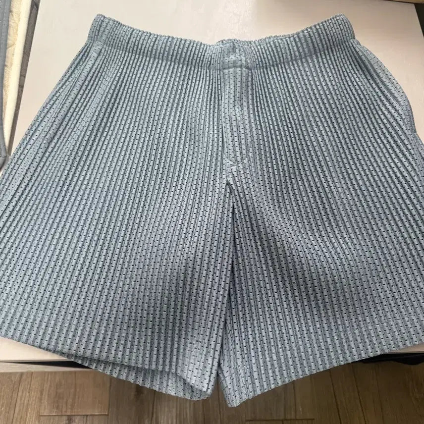 [BUNJANG] Homme Plissé Issey Miyake Pleats Mesh Shorts / 옴므 플리세 메쉬 쇼츠