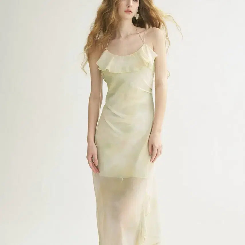 [BUNJANG] SinnceDen Olivier Backless Long Dress Chiffon Resort Sleeveless Dress / (M) 신스덴 올리비에 백리스 롱원피스 쉬폰 휴양지 나시원피스
