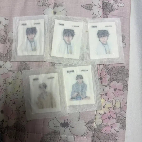 [BUNJANG] BOYNEXTDOOR Sticker / 보넥도 띠부실
